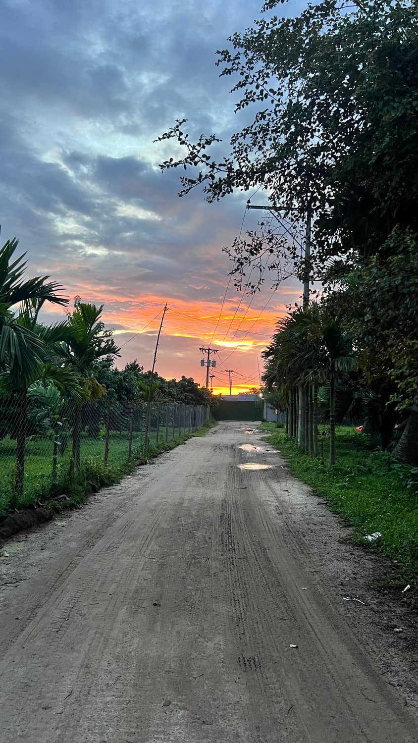 Palm-lined village road glowing under an orange sunset sky